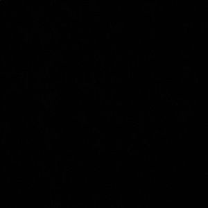 Meet your Posher, Dylan